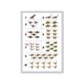 Picture of Dino Number Chart I _GroupedProduct_Rectangle_Portrait_Framed_Matted_