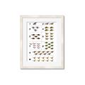 Picture of Dino Number Chart I _GroupedProduct_Rectangle_Portrait_Framed_Matted_
