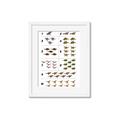 Picture of Dino Number Chart I _GroupedProduct_Rectangle_Portrait_Framed_Matted_