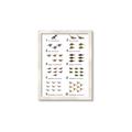 Picture of Dino Number Chart II  _GroupedProduct_Rectangle_Portrait_Framed_Matted_