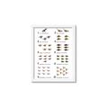 Picture of Dino Number Chart II  _GroupedProduct_Rectangle_Portrait_Framed_Matted_