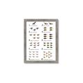 Picture of Dino Number Chart II  _GroupedProduct_Rectangle_Portrait_Framed_Matted_