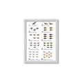 Picture of Dino Number Chart II  _GroupedProduct_Rectangle_Portrait_Framed_Matted_