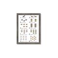 Picture of Dino Number Chart II  _GroupedProduct_Rectangle_Portrait_Framed_Matted_