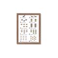 Picture of Dino Number Chart II  _GroupedProduct_Rectangle_Portrait_Framed_Matted_