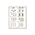 Picture of Dino Number Chart II  _GroupedProduct_Rectangle_Portrait_Framed_Matted_