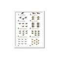 Picture of Dino Number Chart II  _GroupedProduct_Rectangle_Portrait_Framed_Matted_