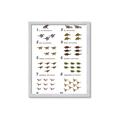 Picture of Dino Number Chart II  _GroupedProduct_Rectangle_Portrait_Framed_Matted_