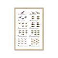 Picture of Dino Number Chart II  _GroupedProduct_Rectangle_Portrait_Framed_Matted_