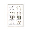 Picture of Dino Number Chart II  _GroupedProduct_Rectangle_Portrait_Framed_Matted_
