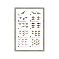 Picture of Dino Number Chart II  _GroupedProduct_Rectangle_Portrait_Framed_Matted_