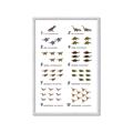 Picture of Dino Number Chart II  _GroupedProduct_Rectangle_Portrait_Framed_Matted_