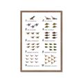 Picture of Dino Number Chart II  _GroupedProduct_Rectangle_Portrait_Framed_Matted_