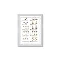 Picture of Dino Number Chart II  _GroupedProduct_Rectangle_Portrait_Framed_Matted_