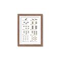Picture of Dino Number Chart II  _GroupedProduct_Rectangle_Portrait_Framed_Matted_