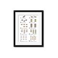 Picture of Dino Number Chart II  _GroupedProduct_Rectangle_Portrait_Framed_Matted_