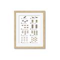 Picture of Dino Number Chart II  _GroupedProduct_Rectangle_Portrait_Framed_Matted_