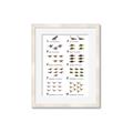 Picture of Dino Number Chart II  _GroupedProduct_Rectangle_Portrait_Framed_Matted_