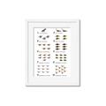 Picture of Dino Number Chart II  _GroupedProduct_Rectangle_Portrait_Framed_Matted_
