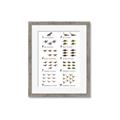 Picture of Dino Number Chart II  _GroupedProduct_Rectangle_Portrait_Framed_Matted_