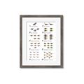 Picture of Dino Number Chart II  _GroupedProduct_Rectangle_Portrait_Framed_Matted_