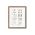 Picture of Dino Number Chart II  _GroupedProduct_Rectangle_Portrait_Framed_Matted_