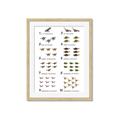 Picture of Dino Number Chart II  _GroupedProduct_Rectangle_Portrait_Framed_Matted_