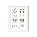 Picture of Dino Number Chart II  _GroupedProduct_Rectangle_Portrait_Framed_Matted_