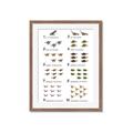 Picture of Dino Number Chart II  _GroupedProduct_Rectangle_Portrait_Framed_Matted_
