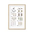 Picture of Dino Number Chart II  _GroupedProduct_Rectangle_Portrait_Framed_Matted_