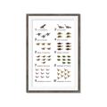 Picture of Dino Number Chart II  _GroupedProduct_Rectangle_Portrait_Framed_Matted_