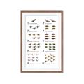 Picture of Dino Number Chart II  _GroupedProduct_Rectangle_Portrait_Framed_Matted_