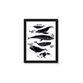Picture of Ocean Life Black and White _GroupedProduct_Rectangle_Portrait_Framed_Matted_