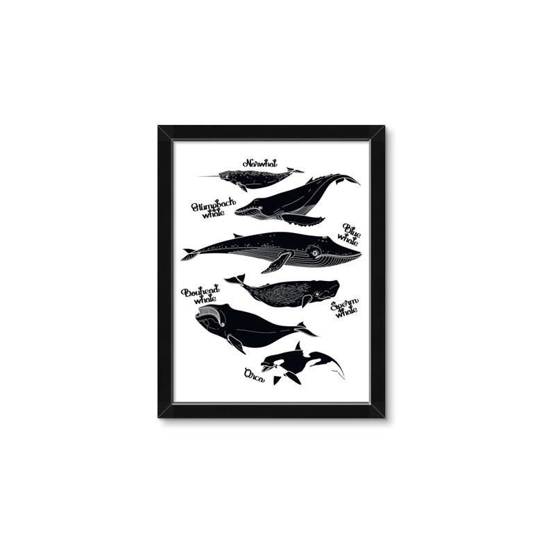Picture of Ocean Life Black and White _GroupedProduct_Rectangle_Portrait_Framed_Matted_