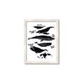 Picture of Ocean Life Black and White _GroupedProduct_Rectangle_Portrait_Framed_Matted_