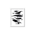 Picture of Ocean Life Black and White _GroupedProduct_Rectangle_Portrait_Framed_Matted_
