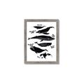 Picture of Ocean Life Black and White _GroupedProduct_Rectangle_Portrait_Framed_Matted_