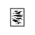 Picture of Ocean Life Black and White _GroupedProduct_Rectangle_Portrait_Framed_Matted_