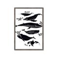 Picture of Ocean Life Black and White _GroupedProduct_Rectangle_Portrait_Framed_Matted_