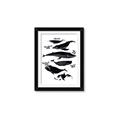 Picture of Ocean Life Black and White _GroupedProduct_Rectangle_Portrait_Framed_Matted_