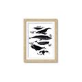 Picture of Ocean Life Black and White _GroupedProduct_Rectangle_Portrait_Framed_Matted_
