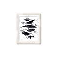 Picture of Ocean Life Black and White _GroupedProduct_Rectangle_Portrait_Framed_Matted_