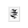 Picture of Ocean Life Black and White _GroupedProduct_Rectangle_Portrait_Framed_Matted_