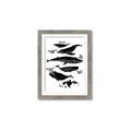 Picture of Ocean Life Black and White _GroupedProduct_Rectangle_Portrait_Framed_Matted_