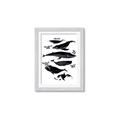 Picture of Ocean Life Black and White _GroupedProduct_Rectangle_Portrait_Framed_Matted_