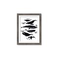 Picture of Ocean Life Black and White _GroupedProduct_Rectangle_Portrait_Framed_Matted_