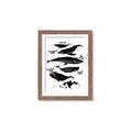 Picture of Ocean Life Black and White _GroupedProduct_Rectangle_Portrait_Framed_Matted_