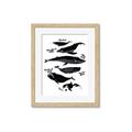 Picture of Ocean Life Black and White _GroupedProduct_Rectangle_Portrait_Framed_Matted_