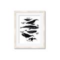 Picture of Ocean Life Black and White _GroupedProduct_Rectangle_Portrait_Framed_Matted_