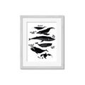 Picture of Ocean Life Black and White _GroupedProduct_Rectangle_Portrait_Framed_Matted_
